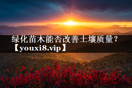 绿化苗木能否改善土壤质量？
